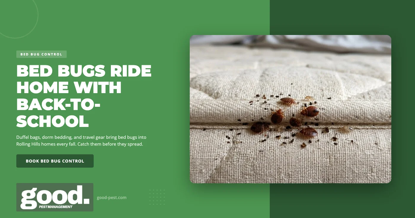 Bed Bugs and Back-to-School Season: What Rolling Hills, CA Homeowners Should Know