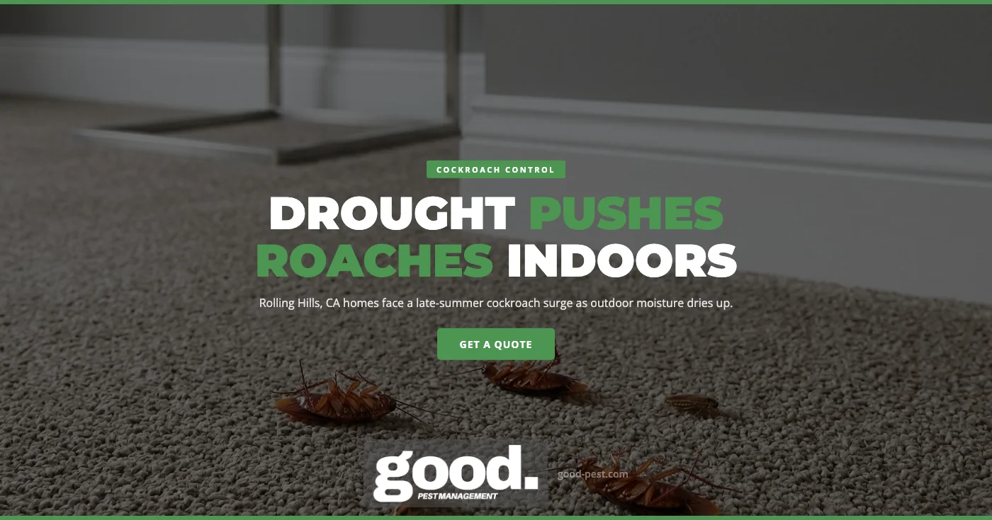 Why Late-Summer Drought Drives Cockroaches Into Rolling Hills, CA Homes