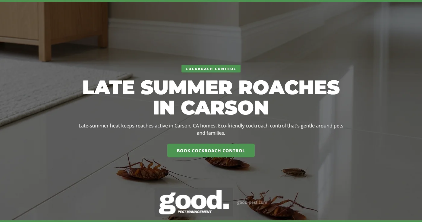 Why Late-Summer Heat Sends Cockroaches Into Carson, CA Homes in September