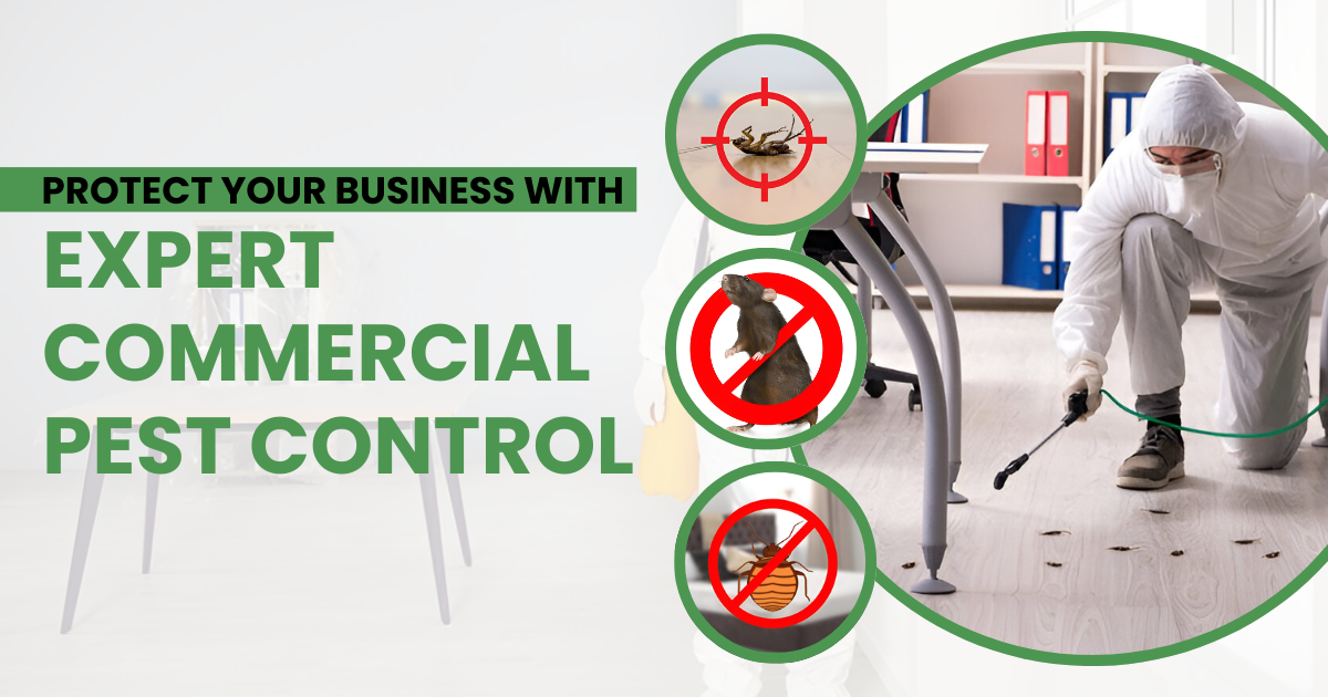 Protect Your Business from Pests with Expert Commercial Pest Control | Good Pest Management