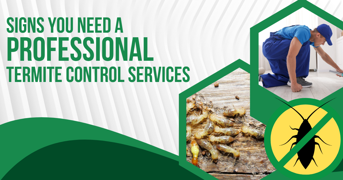 Signs You Need Professional Termite Control Services | Good Pest Management