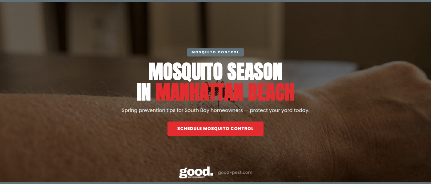 Spring Mosquito Season in Manhattan Beach: Prevention Tips That Work | Good Pest Management